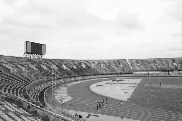 Quel sport est le mieux payé en 2024 ? découvrez les gagnants